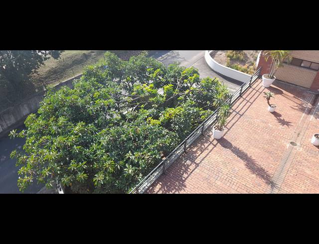 285M² OFFICE TO LET IN DAWNCLIFFE